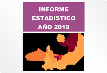 Informe Estadístico 2019