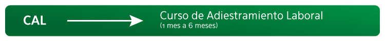 Modalidad CAL Modalidad CAL