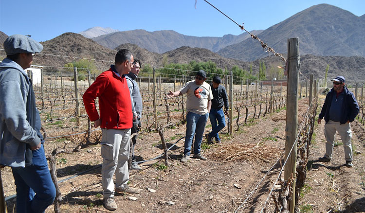 Fotografía Consolidan la educación técnico profesional de estudiantes de enología y viticultura en Cafayate