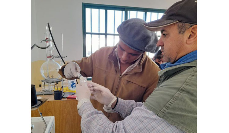 Capacitación en mejoramiento genético de rebaños de ganado Fotografía Capacitación en mejoramiento genético de rebaños de ganado