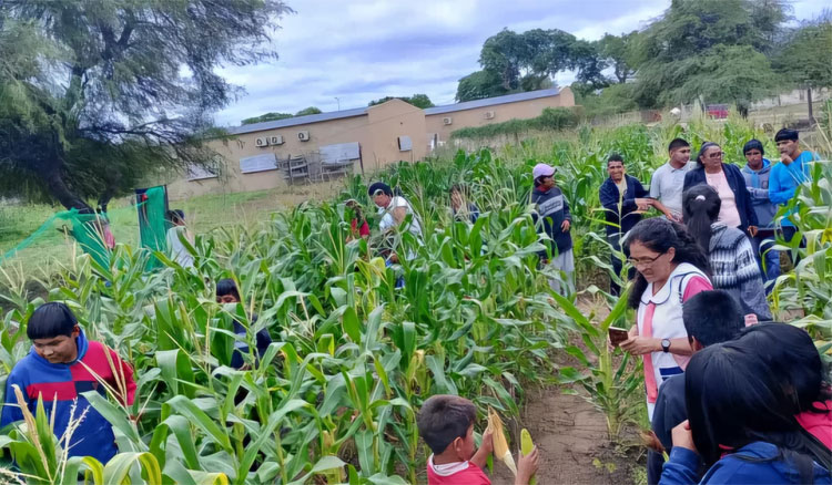 Fotografía: Las Huertas Escolares fusionan contenidos curriculares y productivos que generan soberanía alimentaria