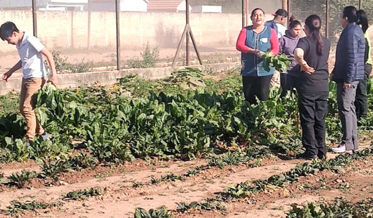 Fotografía: Estudiantes de Embarcación fortalecen conocimientos educativos...