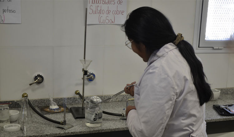 Inicia la instancia provincial de la Feria de Educación en Ciencias, Arte, Matemática y Tecnología