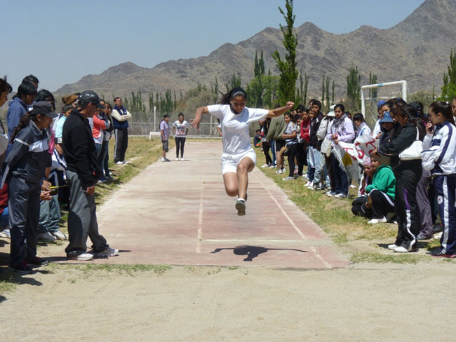 Olimpiadas Educación Superior