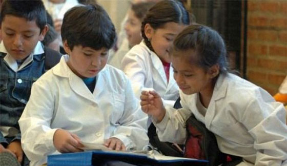 Acompañamiento pedagógico para niños de primaria Acompañamiento pedagógico para niños de primaria