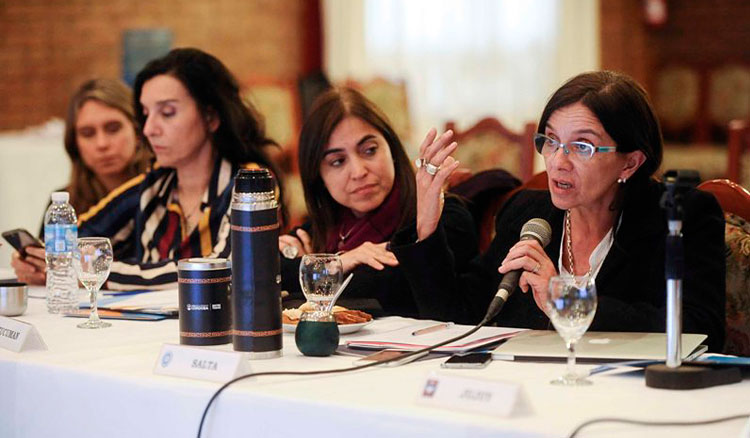 En Córdoba la ministra Berruezo participó de otra edición del Consejo Federal