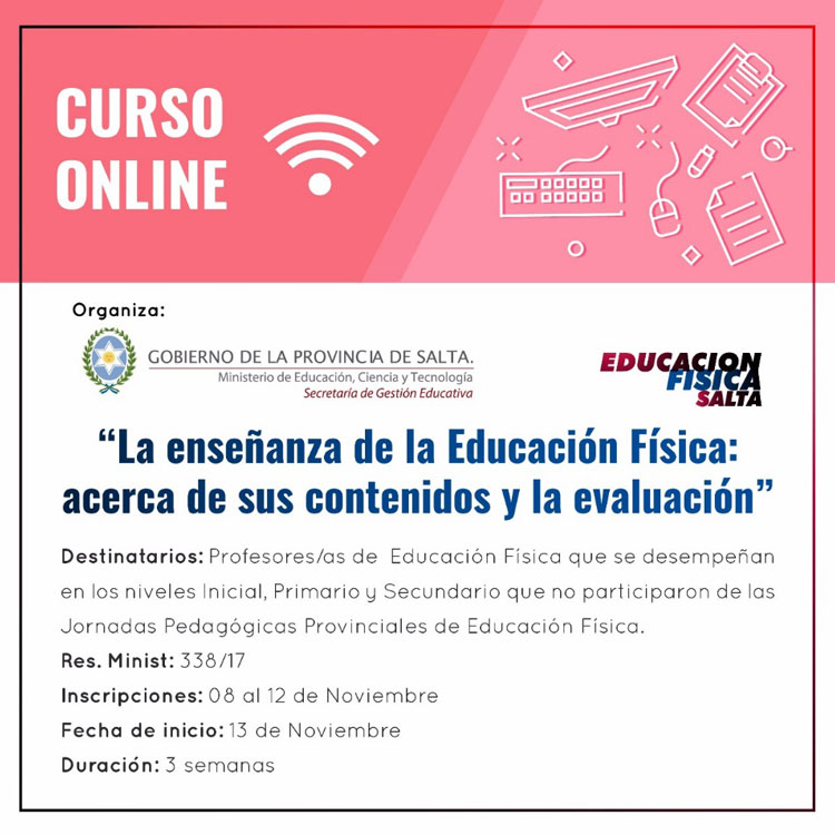 Curso On-line La Enseñanza de la Educación Física