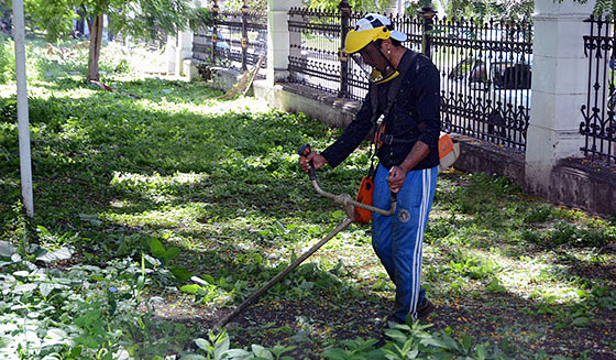 Información sobre desmalezamiento y limpieza de edificios escolares Información sobre desmalezamiento y limpieza de edificios escolares