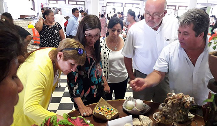 Segunda edición de la Expo Educación y Trabajo