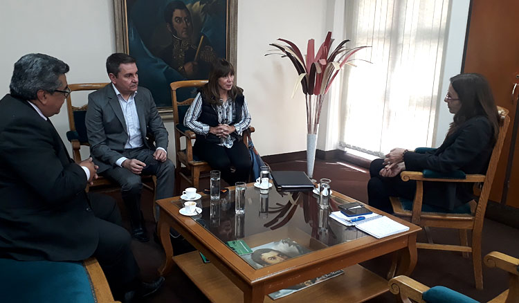 Se presentó a Educación el programa del ciclo introductorio para ingresantes a la UNSa Se presentó a Educación el programa del ciclo introductorio para ingresantes a la UNSa