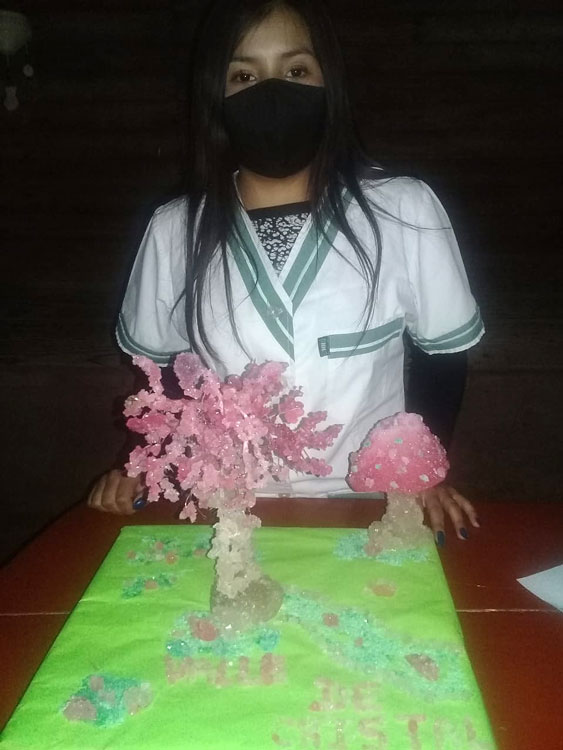 Dos secundarios salteños entre los ganadores del Concurso Nacional de Cristales Dos secundarios salteños entre los ganadores del Concurso Nacional de Cristales