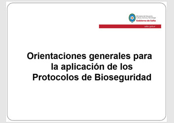 Orientaciones generales para la aplicación de los Protocolos de Bioseguridad