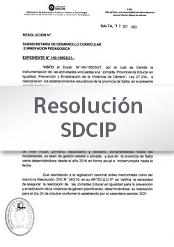 Res. SDCIP Nº 207-23